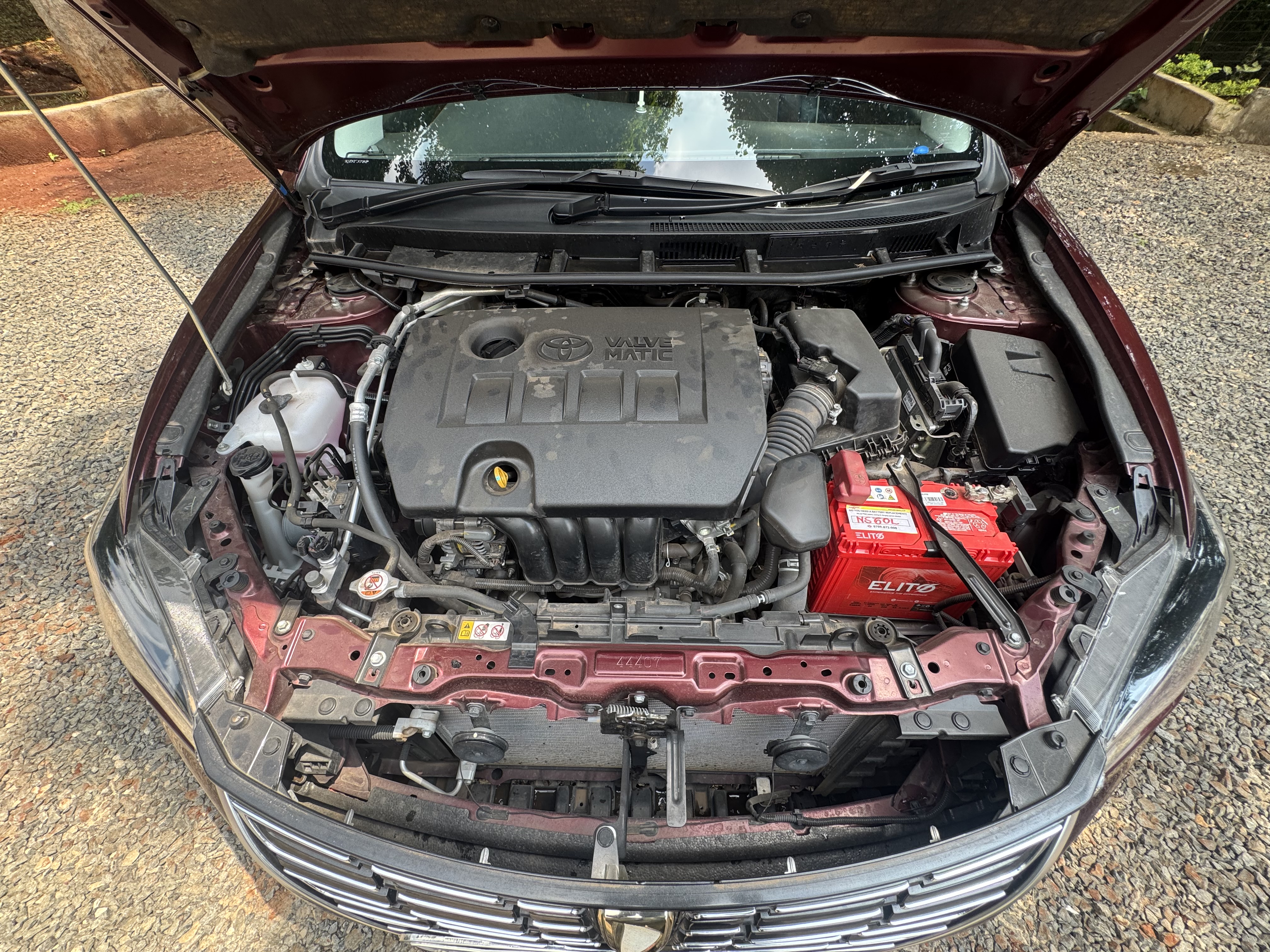 Toyota Premio